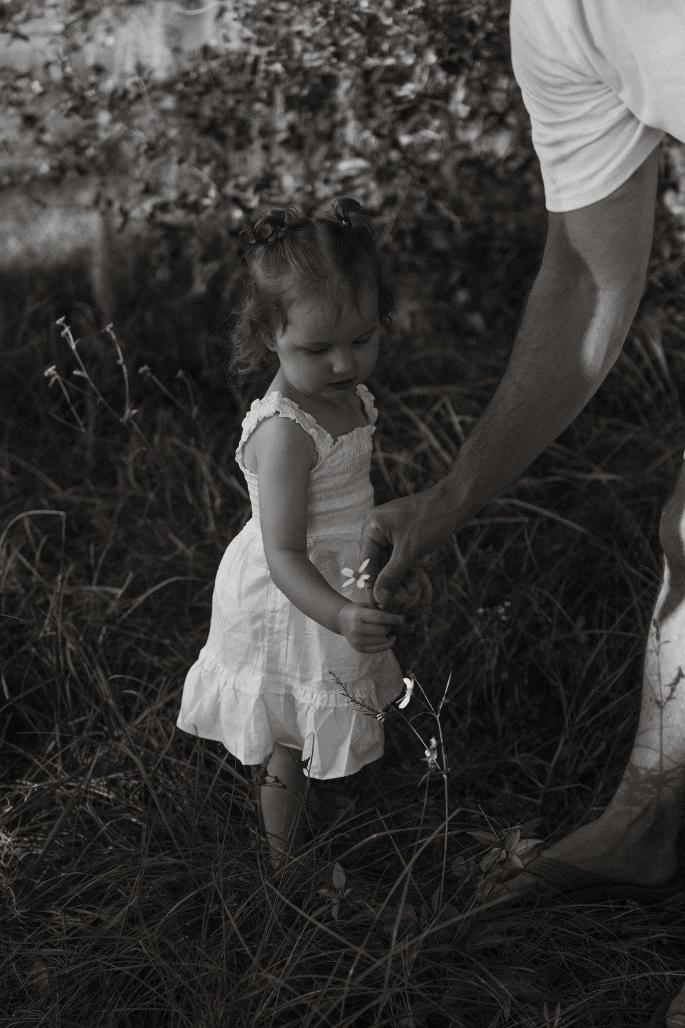 carousel-hero-element image-7