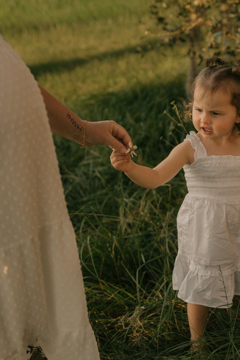 carousel-hero-element image-4